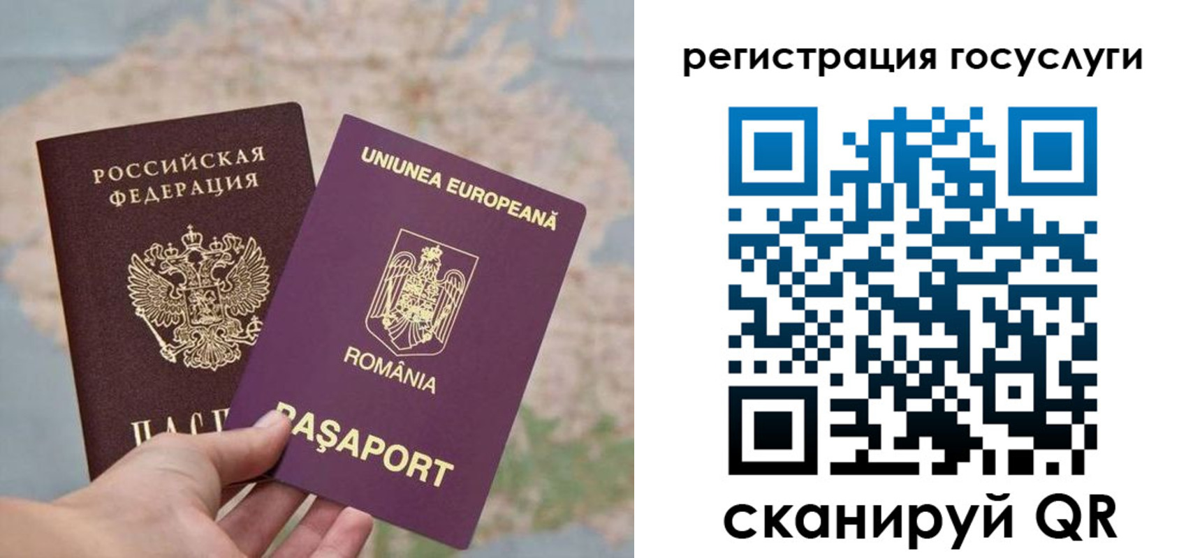 временная регистрация поиск в Балашихе